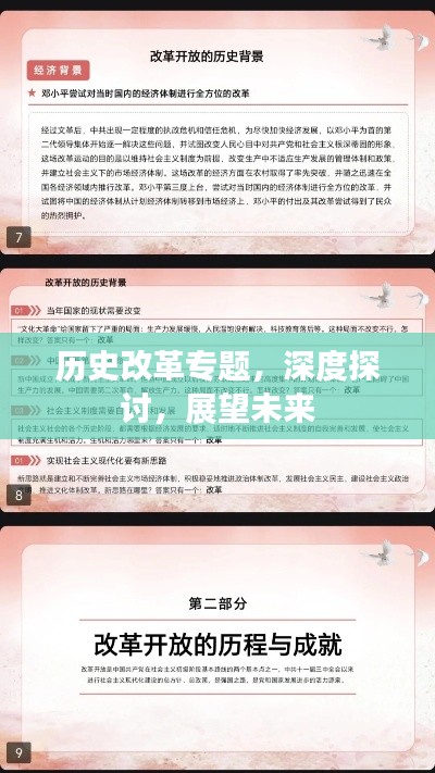歷史改革專題，深度探討，展望未來