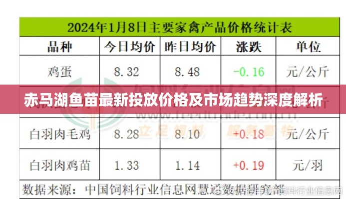 赤馬湖魚(yú)苗最新投放價(jià)格及市場(chǎng)趨勢(shì)深度解析