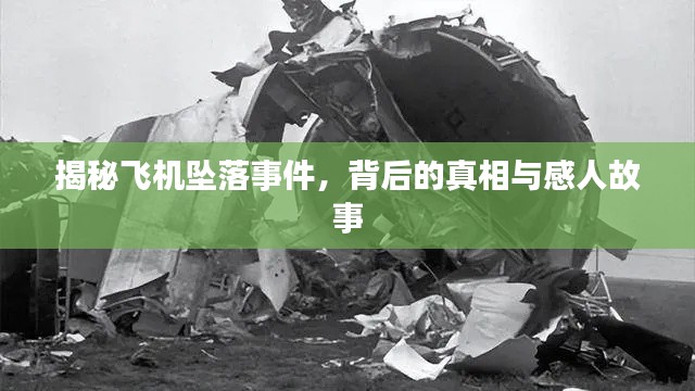 揭秘飛機(jī)墜落事件，背后的真相與感人故事