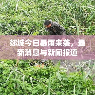 郯城今日暴雨來襲，最新消息與新聞報道