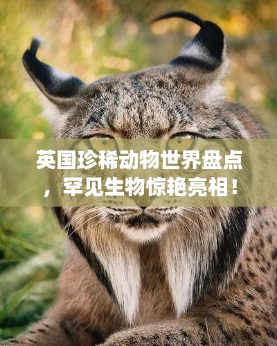 英國(guó)珍稀動(dòng)物世界盤點(diǎn)，罕見(jiàn)生物驚艷亮相！