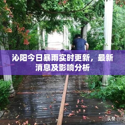 沁陽今日暴雨實時更新，最新消息及影響分析
