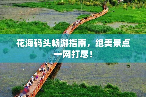 花海碼頭暢游指南，絕美景點一網(wǎng)打盡！