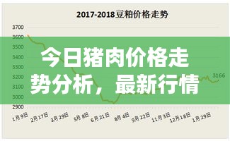 今日豬肉價(jià)格走勢分析，最新行情揭秘