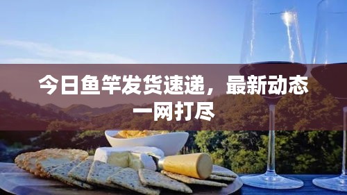 今日魚竿發(fā)貨速遞，最新動(dòng)態(tài)一網(wǎng)打盡