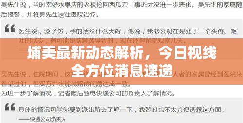 埔美最新動(dòng)態(tài)解析，今日視線全方位消息速遞