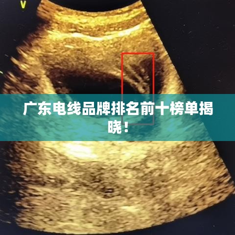 廣東電線品牌排名前十榜單揭曉！