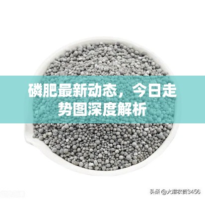 磷肥最新動態(tài)，今日走勢圖深度解析
