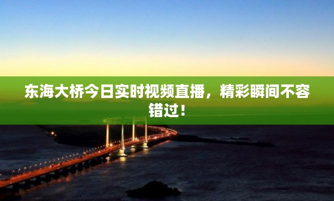 東海大橋今日實(shí)時(shí)視頻直播，精彩瞬間不容錯(cuò)過！