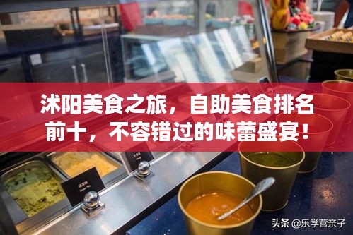 沭陽美食之旅，自助美食排名前十，不容錯過的味蕾盛宴！
