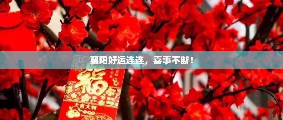 襄陽好運(yùn)連連，喜事不斷！