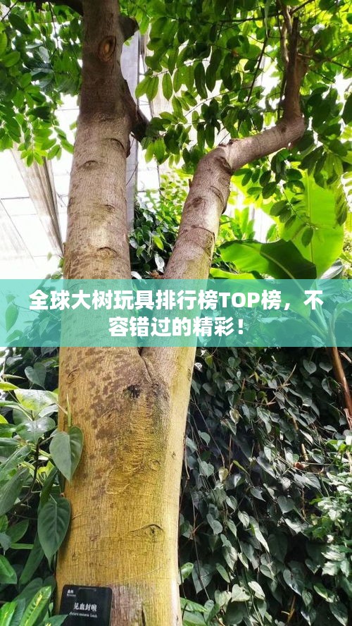 全球大樹玩具排行榜TOP榜，不容錯過的精彩！