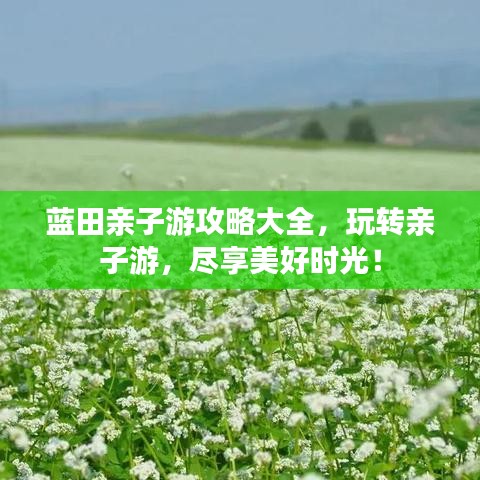 藍(lán)田親子游攻略大全，玩轉(zhuǎn)親子游，盡享美好時(shí)光！