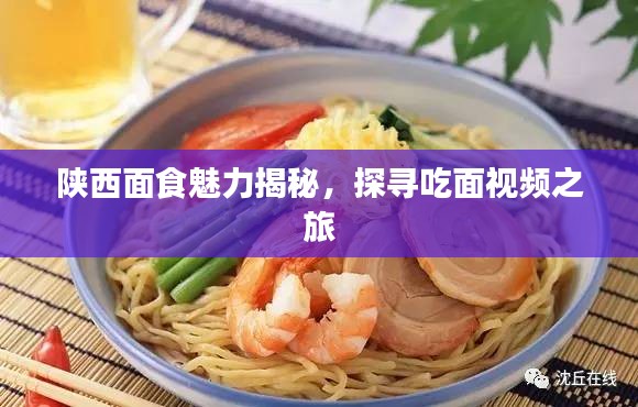 陜西面食魅力揭秘，探尋吃面視頻之旅