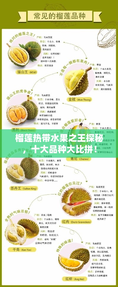 榴蓮熱帶水果之王探秘，十大品種大比拼！