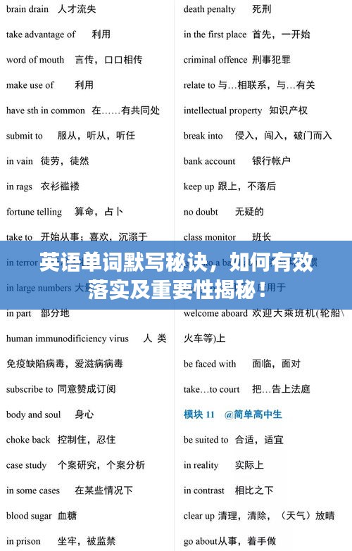 英語單詞默寫秘訣，如何有效落實(shí)及重要性揭秘！