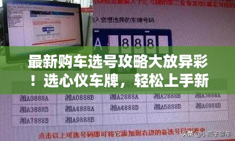 最新購車選號(hào)攻略大放異彩！選心儀車牌，輕松上手新車！