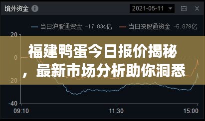 福建鴨蛋今日?qǐng)?bào)價(jià)揭秘，最新市場(chǎng)分析助你洞悉行情！