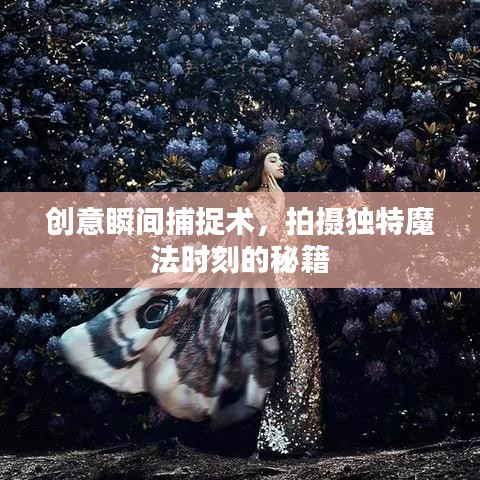 創(chuàng)意瞬間捕捉術(shù)，拍攝獨特魔法時刻的秘籍