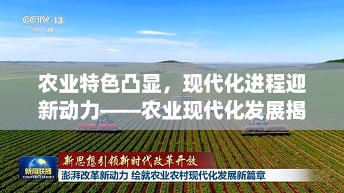 農(nóng)業(yè)特色凸顯，現(xiàn)代化進程迎新動力——農(nóng)業(yè)現(xiàn)代化發(fā)展揭秘！