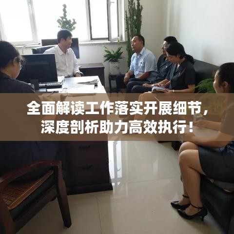 全面解讀工作落實(shí)開(kāi)展細(xì)節(jié)，深度剖析助力高效執(zhí)行！