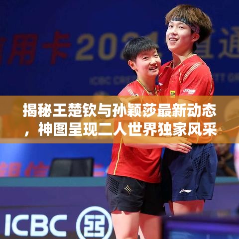 揭秘王楚欽與孫穎莎最新動態(tài)，神圖呈現(xiàn)二人世界獨家風采