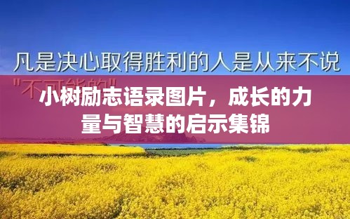 小樹(shù)勵(lì)志語(yǔ)錄圖片，成長(zhǎng)的力量與智慧的啟示集錦