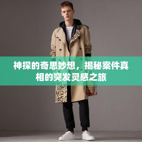 神探的奇思妙想，揭秘案件真相的突發(fā)靈感之旅