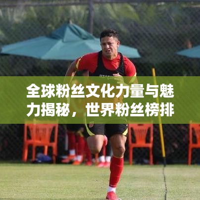 全球粉絲文化力量與魅力揭秘，世界粉絲榜排名探索