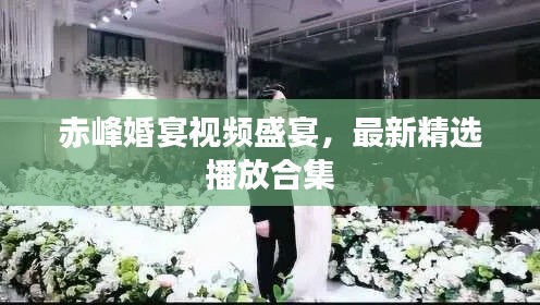 赤峰婚宴視頻盛宴，最新精選播放合集