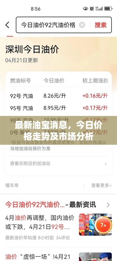 最新油寶消息，今日價(jià)格走勢及市場分析