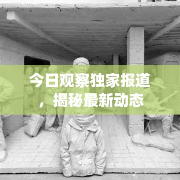 今日觀察獨家報道，揭秘最新動態(tài)