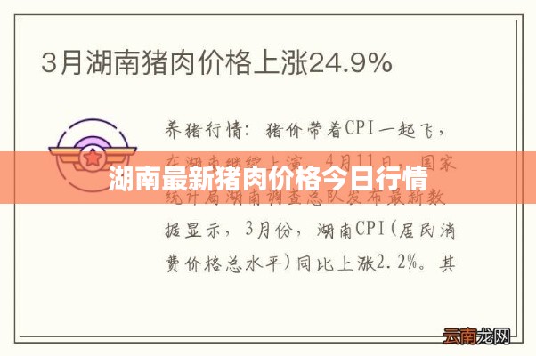 湖南最新豬肉價(jià)格今日行情