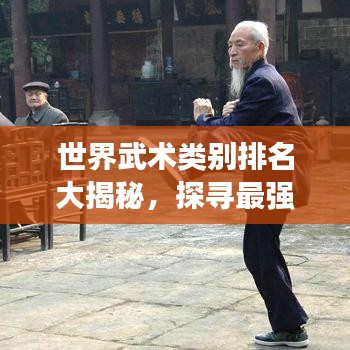 世界武術(shù)類別排名大揭秘，探尋最強(qiáng)武術(shù)流派！