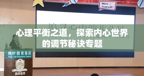 心理平衡之道，探索內(nèi)心世界的調(diào)節(jié)秘訣專題