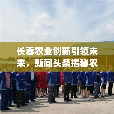 長春農(nóng)業(yè)創(chuàng)新引領(lǐng)未來，新聞頭條揭秘農(nóng)業(yè)新動向與發(fā)展戰(zhàn)略