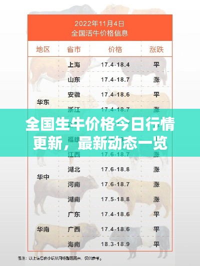 全國生牛價格今日行情更新，最新動態(tài)一覽