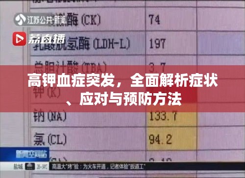 高鉀血癥突發(fā)，全面解析癥狀、應(yīng)對與預(yù)防方法