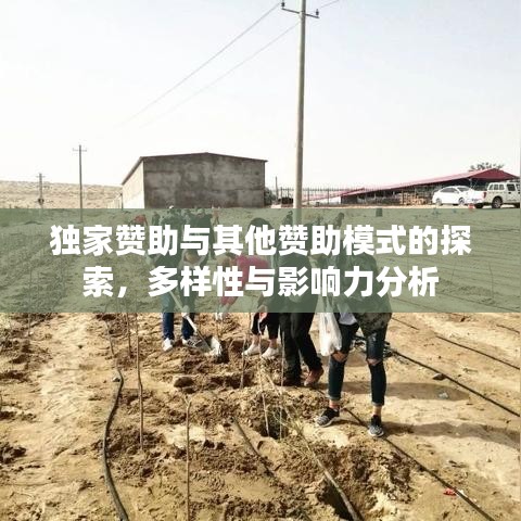 獨家贊助與其他贊助模式的探索，多樣性與影響力分析