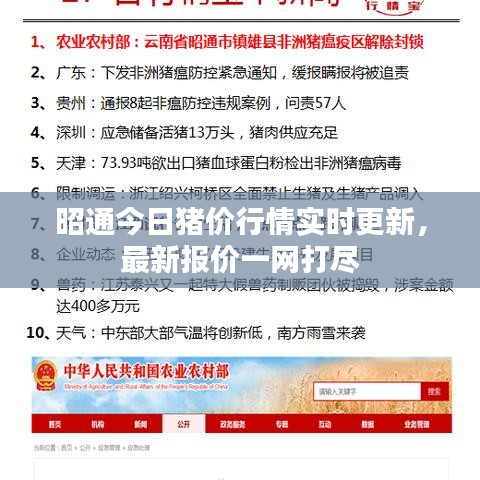 昭通今日豬價行情實(shí)時更新，最新報價一網(wǎng)打盡