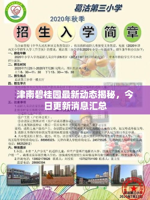 津南碧桂園最新動(dòng)態(tài)揭秘，今日更新消息匯總