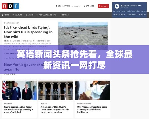 英語新聞頭條搶先看，全球最新資訊一網(wǎng)打盡