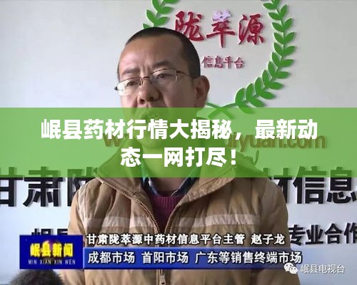 岷縣藥材行情大揭秘，最新動(dòng)態(tài)一網(wǎng)打盡！