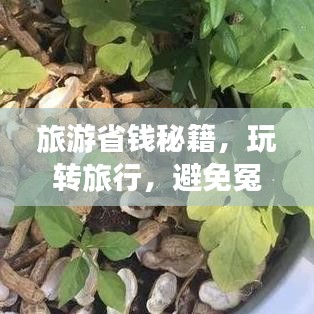 旅游省錢秘籍，玩轉(zhuǎn)旅行，避免冤枉錢支出攻略！