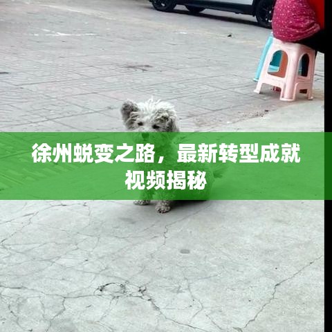 徐州蛻變之路，最新轉(zhuǎn)型成就視頻揭秘