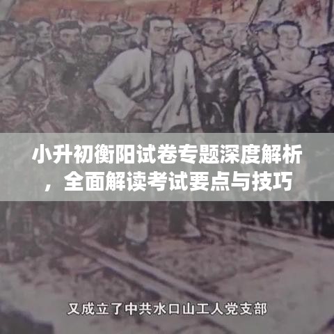 小升初衡陽(yáng)試卷專題深度解析，全面解讀考試要點(diǎn)與技巧