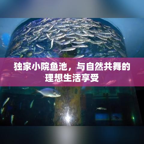 獨家小院魚池，與自然共舞的理想生活享受
