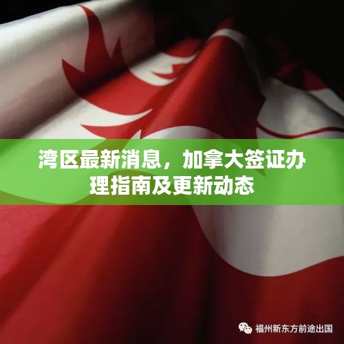 灣區(qū)最新消息，加拿大簽證辦理指南及更新動(dòng)態(tài)