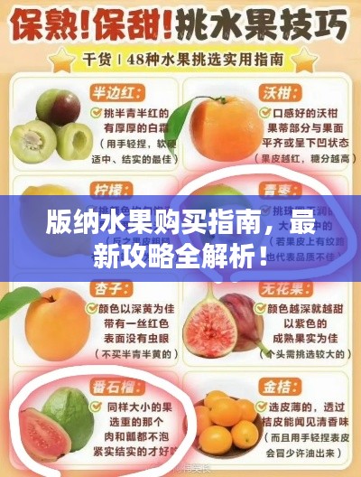 版納水果購(gòu)買指南，最新攻略全解析！