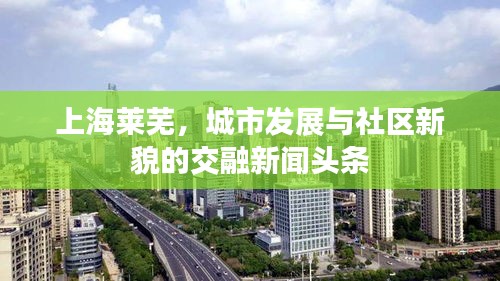 上海萊蕪，城市發(fā)展與社區(qū)新貌的交融新聞?lì)^條
